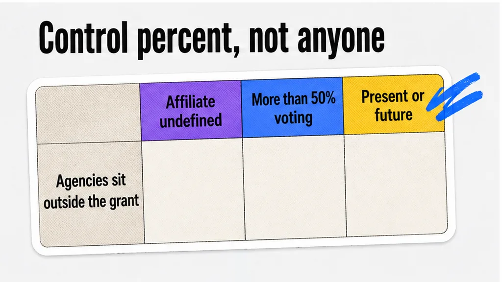 Affiliate undefined versus more than 50% voting control, present or future, agencies sit outside